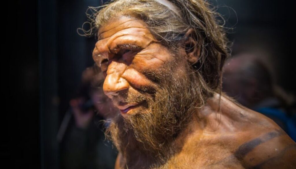 adn-mitocondrial-neandertal1