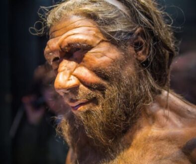 adn-mitocondrial-neandertal1